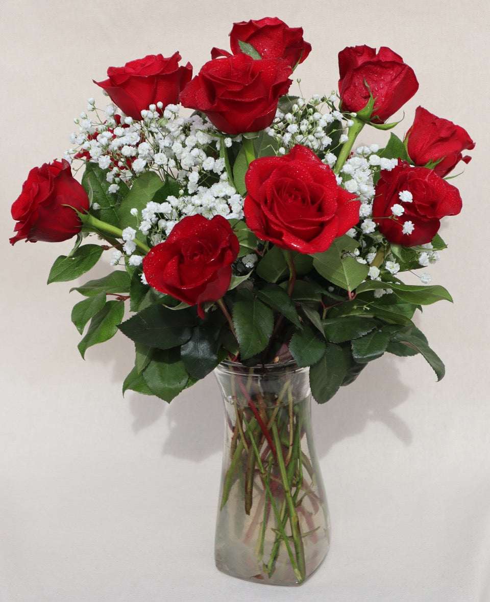 Classic Red Roses